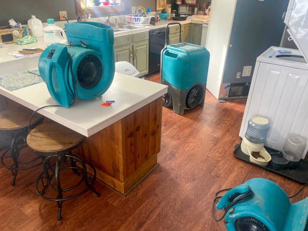 Best Water damage contractors near me  in Gonzales, LA