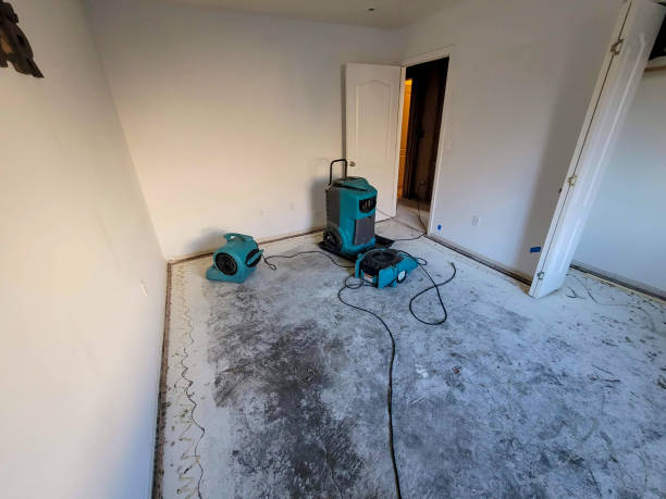 Best Emergency water damage restoration  in Gonzales, LA