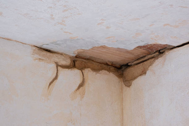 Best Residential water damage restoration  in Gonzales, LA