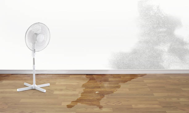 Sewage cleanup and water damage restoration in Gonzales, LA
