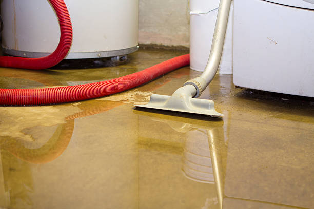Best Flooded house restoration  in Gonzales, LA
