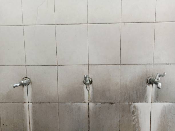 Best Sewage cleanup and water damage restoration  in Gonzales, LA