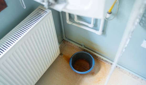Carpet water damage restoration in Gonzales, LA