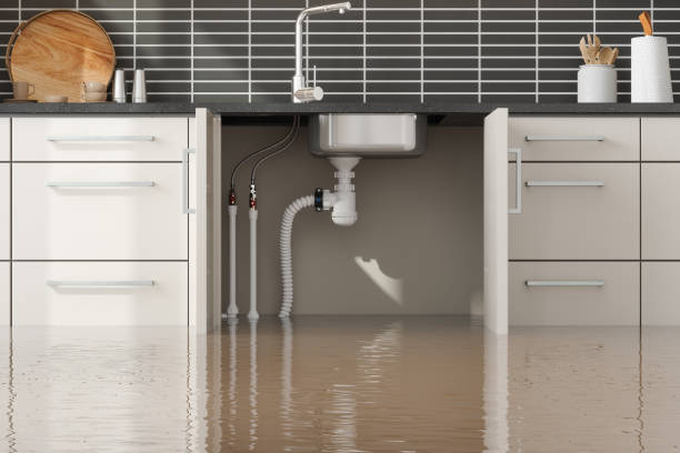 Best Carpet water damage restoration  in Gonzales, LA